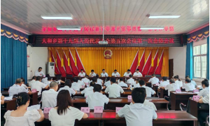 巴州区大和乡：人代会听取和审议乡村振兴工作报告