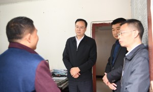 谭青松到龙凤场镇督导巩固拓展脱贫攻坚成果同乡村振兴有效衔接工作